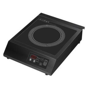 INDUCTION COOKER