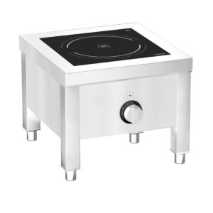 Induction Cooker